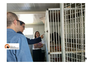 Città Sant'Angelo/canile. "La struttura della Asl di Pescara si presenta in buone condizioni"
