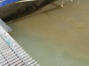 Pescara. Riparte il campionamento della stagione balneare.