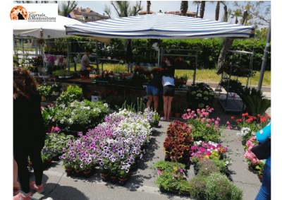 “Montesilvano Expo Giardino” sul lungomare
