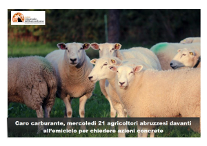 Caro gasolio e prezzi, gli agricoltori delle 4 province torneranno davanti a Palazzo dell’Emiciclo