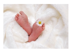 Sulmona/meno di 500 parti annuali, Ministero Salute impone chiusura punto nascita