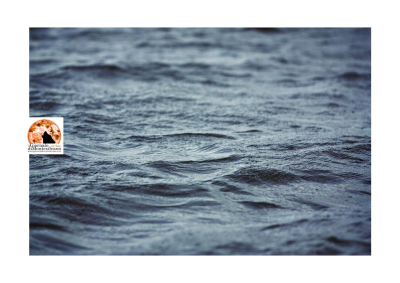 Annega in mare a Pescara, aveva 12 anni.