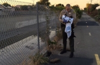 Poliziotto di Los Angeles con la bimba appena ritrovata tra le braccia