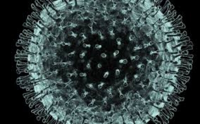 Coronavirus/Montesilvano. Altri 9 positivi. In totale 9 decessi.