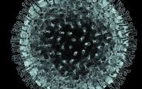 Coronavirus/Montesilvano. Altri 9 positivi. In totale 9 decessi.