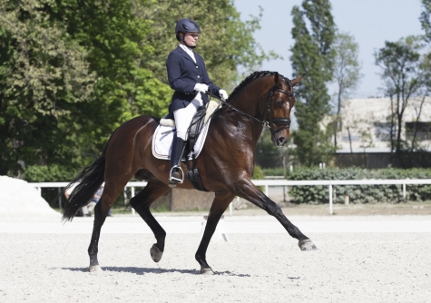 San Giovanni Teatino Dressage. Campionato regionale