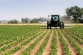 Agricoltura