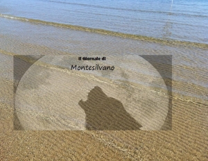 Primarie Pd, quasi 1000 votanti a Montesilvano