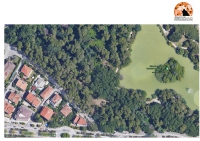 Pescara: Giu’ le mani dagli alberi di via Pantini! Non c’è finanziamento che tenga