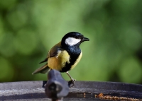 COGECSTRE, 40 anni di ambiente a Penne.