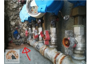 la foto indica gli zampilli verso il muro