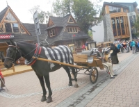 Polonia. Escursioni da Furmanova a Zakopane: natura e terme