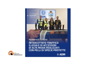 Fiumicino. Stivali da cowboy, abiti e scarpe di canguro, struzzo e pitone bloccati alla dogana