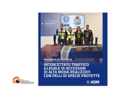 Fiumicino. Stivali da cowboy, abiti e scarpe di canguro, struzzo e pitone bloccati alla dogana