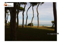 "Pineto Città Verde", mostra storico-fotografica a Villa Filiani