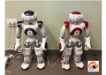 Guide turistiche Robot al Fiabosco di Sant'Eufemia firmate D'Ascanio di Montesilvano