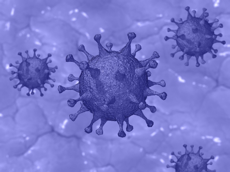 Covid 19. In Italia in calo i contagi, 13 decessi oggi.