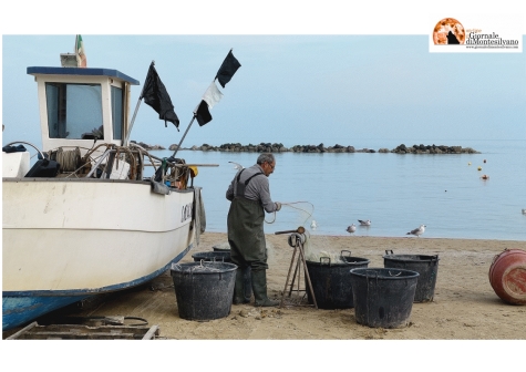 Alla scoperta dei pesci d’autunno con “Le stagioni del mare. Dalla rete al piatto”