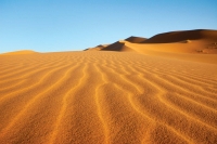 Migranti, oltre 34 cadaveri tra cui venti bambini trovati nel deserto del Sahara. Morti di sete