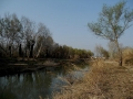 Saline - Montesilvano