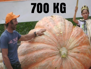 Villa Badessa. Gara della Zucca gigante