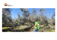 Fossacesia: grande partecipazione al 19° Campionato Regionale Abruzzo di potatura dell’olivo