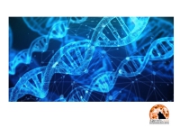 L'Aquila/IRCCS San Raffaele: un progetto di ricerca sul genoma non codificante