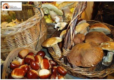 Cena Ecumenica a Campli