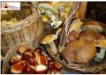 Cena Ecumenica a Campli