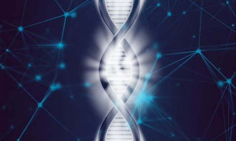 Cerca e sostituisci gli errori, il nuovo comando che ripara il Dna