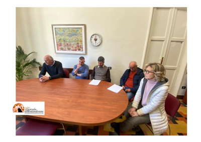 Pescara. Alberi,  verifica di staticità di 2500 esemplari: 8 su 10 hanno criticità