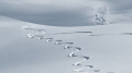 San Giovanni Teatino, pronto piano neve: territorio diviso in 7 zone