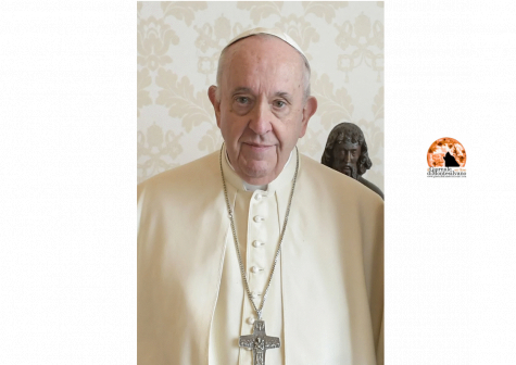 Papa Francesco: &quot;Essere omosessuali non è un crimine&quot;.