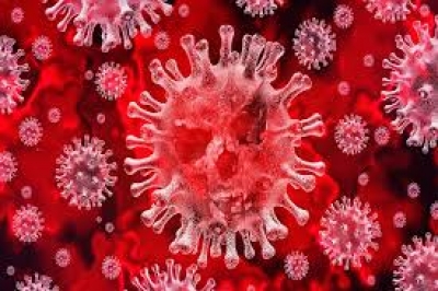 Coronavirus. I guariti totali sono 38.092