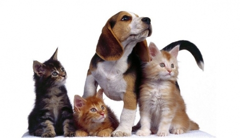 Expo QuattroZampe all'Aurum di Pescara