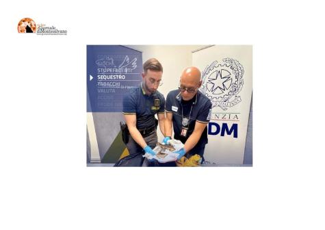 Sequestrata una testa di coccodrillo appartenente a una specie protetta all’aeroporto di Torino Caselle