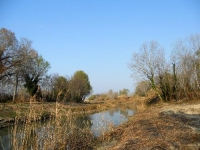 Fiume Saline