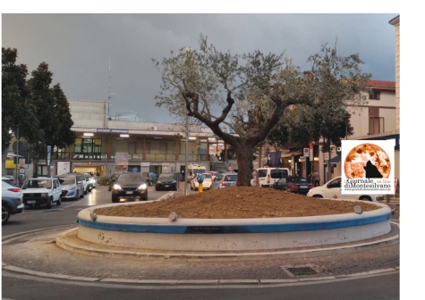 Montesilvano/rotatorie, manutenzione gratis per 5 anni e un ulivo spunta dalla fontana della stazione