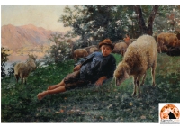 Il Giovane pastore e la notte di Natale