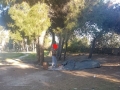 Montesilvano. Comune e sgomberi in pineti, un loop infinito.