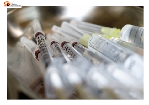 Abruzzo/Covid. Taglieri: test anche nelle parafarmacie