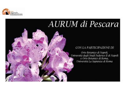 Pescara. Orchidee in Festa all’Ex Aurum