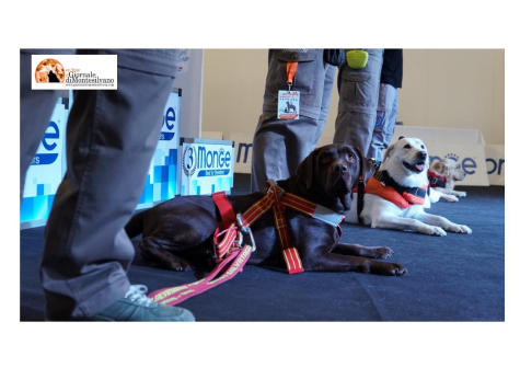 Riflettori accesi sugli animali: torna a Pescara Quattrozampexpo