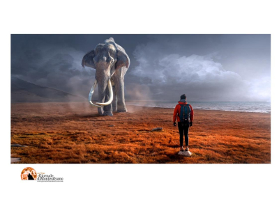 L'Aquila, primo maggio Mammut e Munda aperti