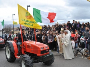 Pianella, domenica benedizione degli animali per Sant'Antonio