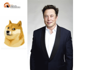 Twitter: l'uccellino vola via, ora c'è il cane Shiba Inu simbolo di criptovaluta Dogecoin