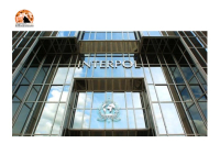 Proventi illeciti. La prima Silver Notice è Tricolore, emessa dal Segretariato Generale di INTERPOL