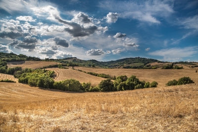 Terreni gratis a chi fa il terzo figlio