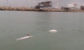 Pescara zona trabocchi, tratto in cui l'associazione Nuovo Saline denuncia bracconaggio marino