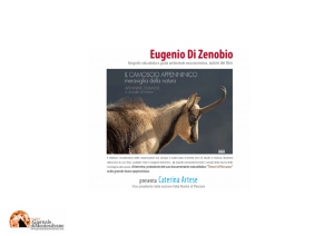 "Il camoscio appenninico - Meraviglia della natura"  alla Biblioteca "Falcone e Borsellino"